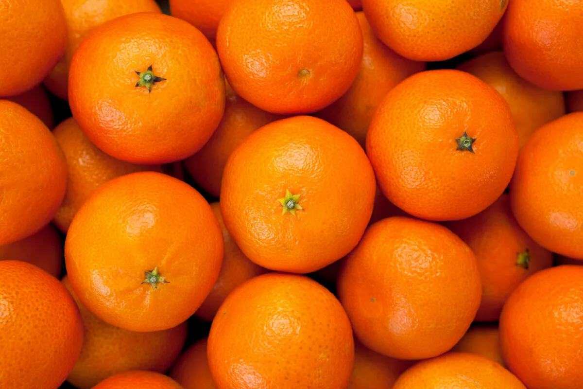 Experience Tangerine Express: GreensProutsy Delivers Peak Mandarin Perfection.